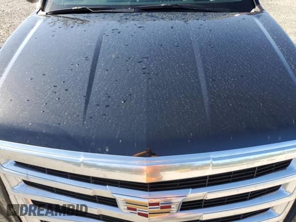 2019 Cadillac Escalade ESV Luxury с VIN 1GYS3HKJ5KR228315, выставлен на аукционе Copart как лот 61169655 с пробегом 86 962 миль миль и Списание • Salvage title. История ставок и продаж доступна на DreamBid. Изображение 12.