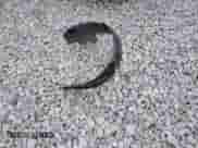 2013 Chevrolet Impala LS with VIN 2G1WA5E37D1100896, listed as a Copart auction lot 82686123 with 37,359 mi miles and Clean title. Bid and sale history available at DreamBid. Image 12.