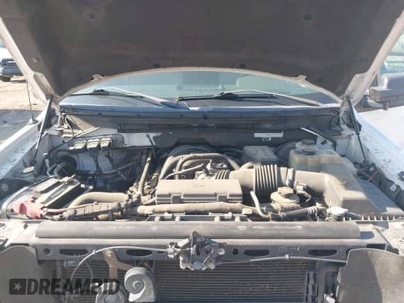 2010 Ford F-150 XL with VIN 1FTEW1C83AFD90585, listed as a IAAI auction lot 43062304 with 187,076 mi miles and . Bid and sale history available at DreamBid. Image 10.