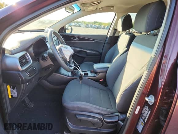 2017 Kia Sorento LX with VIN 5XYPGDA54HG223935, listed as a Copart auction lot 84562115 with 238,891 mi miles and Salvage title. Bid and sale history available at DreamBid. Image 7.