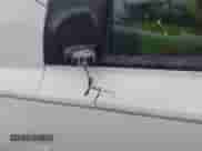 2007 Hyundai Entourage GLS с VIN KNDMC233376021202, выставлен на аукционе IAAI как лот 41893012 с пробегом 237 120 миль миль и . История ставок и продаж доступна на DreamBid. Изображение 13.