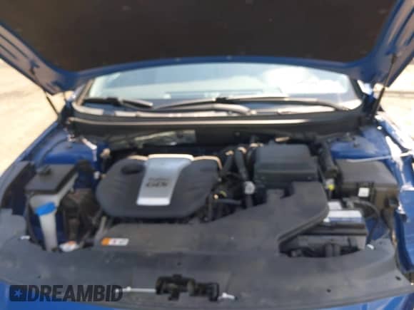 2015 Hyundai Sonata Eco with VIN 5NPE24AA1FH117774, listed as a IAAI auction lot 42616331 with 48,866 mi miles and . Bid and sale history available at DreamBid. Image 10.