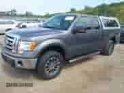 2011 Ford F-150 XL with VIN 1FTFX1EF6BFC31087, listed as a IAAI auction lot 43192059 with Not provided miles and . Bid and sale history available at DreamBid. Image 2.