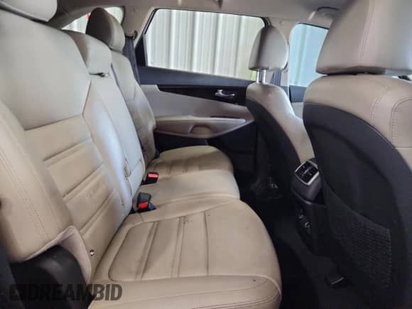 2019 Kia Sorento EX with VIN 5XYPH4A53KG460260, listed as a Copart auction lot 80365055 with 129,218 mi miles and Clean title. Bid and sale history available at DreamBid. Image 11.