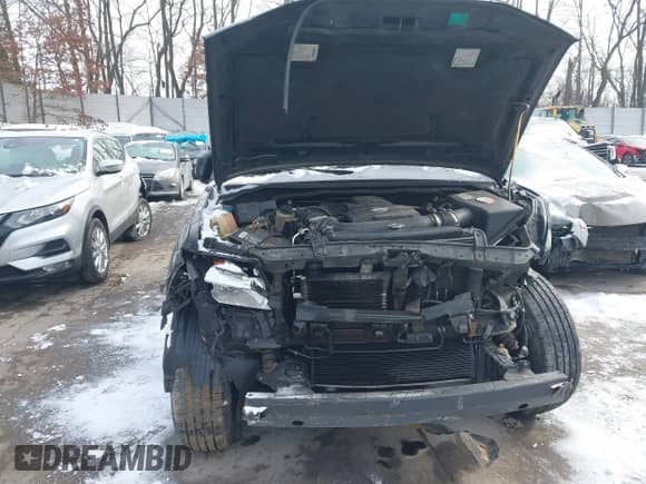 2005 Nissan Pathfinder SE with VIN 5N1AR18U85C756782, listed as a IAAI auction lot 41278886 with 209,555 mi miles and . Bid and sale history available at DreamBid. Image 6.