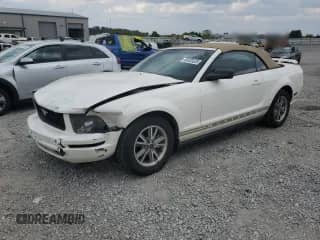 2005 Ford Mustang Deluxe с VIN 1ZVFT84N055233728, выставлен на аукционе Copart как лот 80320325 с пробегом 72 805 миль миль и Списание • Salvage title. История ставок и продаж доступна на DreamBid. Изображение 1.