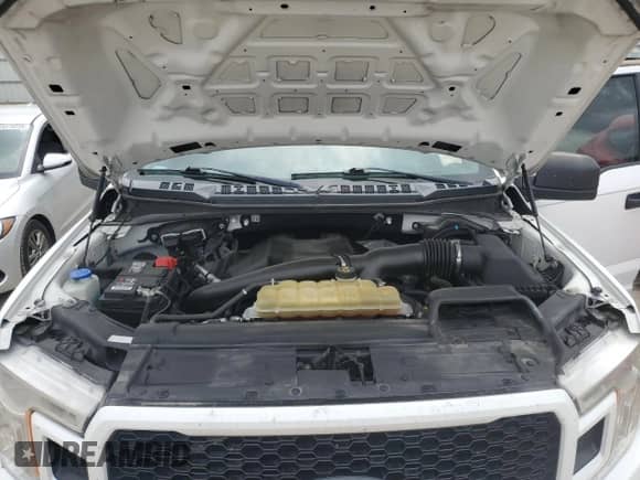 2019 Ford F-150 XL z VIN 1FTEW1E40KKE93000, wystawiony jako Copart lot #65140535 z przebiegiem 135 496 mil mil oraz Szkoda całkowita • Salvage title. Historia ofert i sprzedaży dostępna na DreamBid. Obrazek 11.