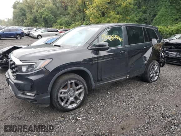 2023 Honda Passport EX-L с VIN 5FNYF8H55PB022183, выставлен на аукционе Copart как лот 84281925 с пробегом 31 296 миль миль и Списание • Salvage title. История ставок и продаж доступна на DreamBid. Изображение 1.