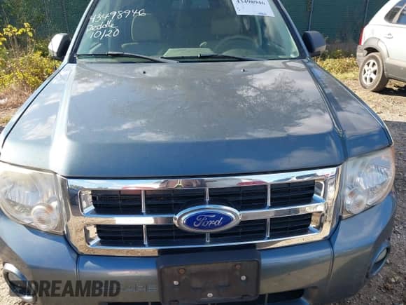 2011 Ford Escape XLT with VIN 1FMCU9D70BKC09156, listed as a IAAI auction lot 43498946 with 517,315 mi miles and . Bid and sale history available at DreamBid. Image 6.