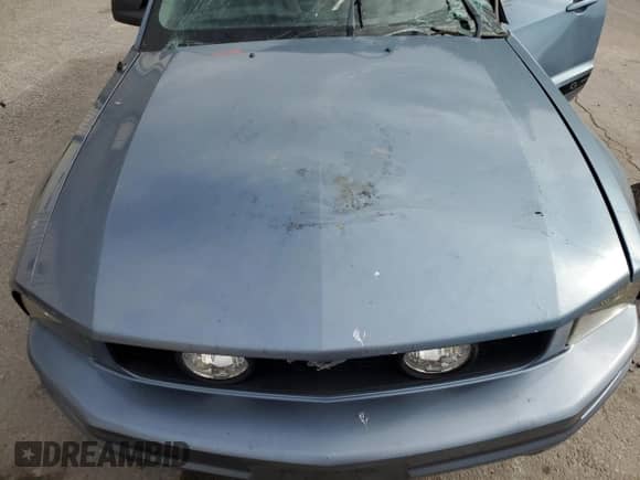 2005 Ford Mustang Deluxe with VIN 1ZVFT80N655103801, listed as a Copart auction lot 86625875 with Not provided miles and Salvage title. Bid and sale history available at DreamBid. Image 11.