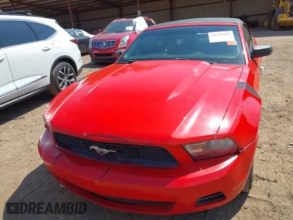 2012 Ford Mustang V6 with VIN 1ZVBP8EM7C5225017, listed as a IAAI auction lot 43158502 with 298,512 mi miles and . Bid and sale history available at DreamBid. Image 12.
