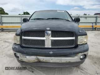 2002 Dodge 1500 z VIN 1B7HU18Z32J106214, wystawiony jako Copart lot #71780234 z przebiegiem 194 853 mil mil oraz Szkoda całkowita • Salvage title. Historia ofert i sprzedaży dostępna na DreamBid. Obrazek 5.