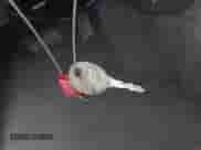 2007 Dodge 1500 ST с VIN 1D7HA16K27J520757, выставлен на аукционе IAAI как лот 42488620 с пробегом 189 324 миль миль и . История ставок и продаж доступна на DreamBid. Изображение 11.