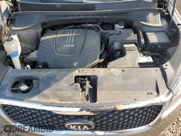 2017 Kia Sorento LX with VIN 5XYPGDA53HG306580, listed as a Copart auction lot 71898845 with 228,788 mi miles and Clean title. Bid and sale history available at DreamBid. Image 12.