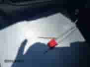 2005 Chevrolet Cavalier with VIN 1G1JC52F457125391, listed as a IAAI auction lot 42584143 with Not provided miles and . Bid and sale history available at DreamBid. Image 11.