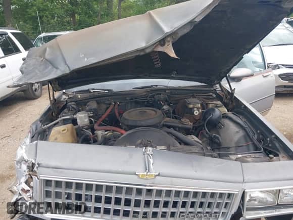 1986 Chevrolet Caprice с VIN 1G1BN35Y3GX198075, выставлен на аукционе IAAI как лот 42616295 с пробегом 95 011 миль миль и . История ставок и продаж доступна на DreamBid. Изображение 10.