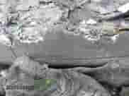 1995 Chevrolet Tahoe with VIN 1GNEK13K4SJ369290, listed as a IAAI auction lot 41599402 with Not provided miles and . Bid and sale history available at DreamBid. Image 9.