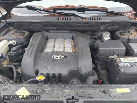 2005 Hyundai Santa Fe GLS с VIN KM8SC73D05U011972, выставлен на аукционе IAAI как лот 43459833 с пробегом 287 564 миль миль и . История ставок и продаж доступна на DreamBid. Изображение 10.