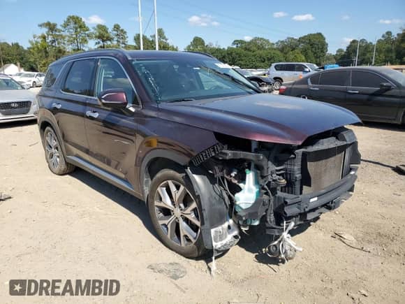 2020 Hyundai Palisade SEL with VIN KM8R44HE8LU034702, listed as a Copart auction lot 87097355 with Not provided miles and Clean title. Bid and sale history available at DreamBid. Image 4.
