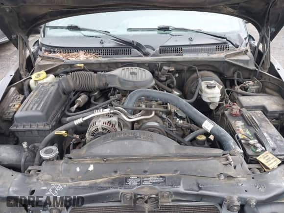1999 Dodge Durango with VIN 1B4HS28Y6XF631018, listed as a IAAI auction lot 42385147 with 372,666 mi miles and . Bid and sale history available at DreamBid. Image 10.