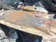 2019 Chevrolet Tahoe LS with VIN 1GNSKAKC0KR341436, listed as a IAAI auction lot 42749185 with Not provided miles and . Bid and sale history available at DreamBid. Image 9.