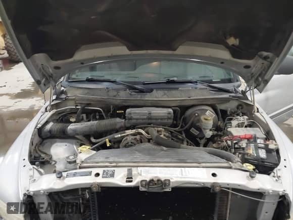 1999 Dodge 1500 z VIN 1B7HF13Z1XJ547042, wystawiony jako IAAI lot #41480882 z przebiegiem 101 270 mil mil oraz . Historia ofert i sprzedaży dostępna na DreamBid. Obrazek 10.