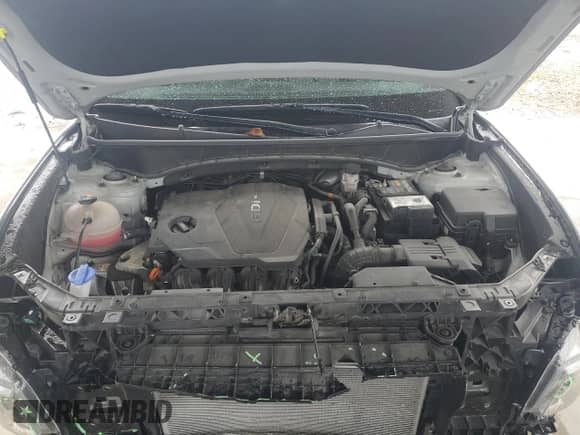 2024 Hyundai Tucson SEL с VIN 5NMJF3DE0RH310284, выставлен на аукционе Copart как лот 84274385 с пробегом 38 718 миль миль и Списание • Salvage title. История ставок и продаж доступна на DreamBid. Изображение 12.