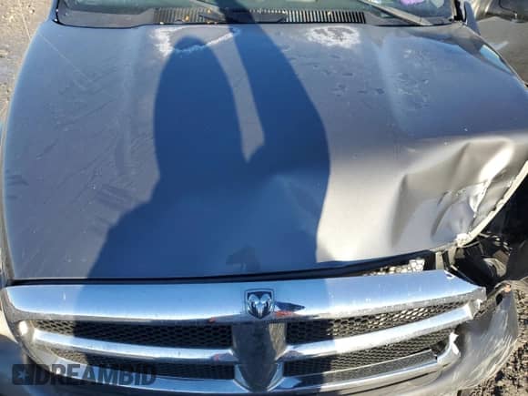 2004 Dodge 3500 ST with VIN 3D7LA38C64G179341, listed as a Copart auction lot 42091555 with 288,415 mi miles and Salvage title. Bid and sale history available at DreamBid. Image 11.