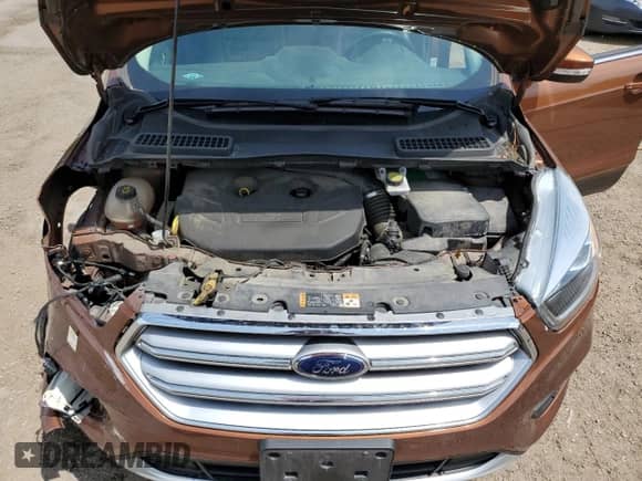 2017 Ford Escape Titanium with VIN 1FMCU0J9XHUA00876, listed as a Copart auction lot 59203535 with 125,942 mi miles and Salvage title. Bid and sale history available at DreamBid. Image 12.