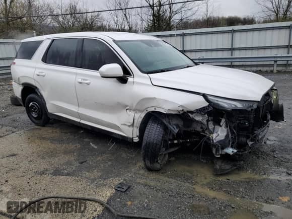 2021 Hyundai Palisade SE с VIN KM8R1DHEXMU213222, выставлен на аукционе Copart как лот 51446735 с пробегом 74 051 миль миль и Чистый • Clean title. История ставок и продаж доступна на DreamBid. Изображение 4.