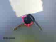 2003 GMC Sierra 1500 SLT с VIN 1GTEK19T53Z356155, выставлен на аукционе IAAI как лот 43405227 с пробегом 285 723 миль миль и . История ставок и продаж доступна на DreamBid. Изображение 11.