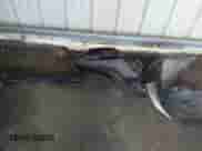 2020 Toyota Camry SE z VIN 4T1G11AK0LU510066, wystawiony jako IAAI lot #43169363 z przebiegiem 88 046 mil mil oraz . Historia ofert i sprzedaży dostępna na DreamBid. Obrazek 12.