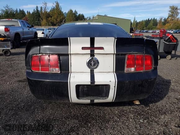 2005 Ford Mustang Deluxe z VIN 1ZVFT80N955153219, wystawiony jako Copart lot #84043805 z przebiegiem 189 162 mil mil oraz Szkoda całkowita • Salvage title. Historia ofert i sprzedaży dostępna na DreamBid. Obrazek 6.