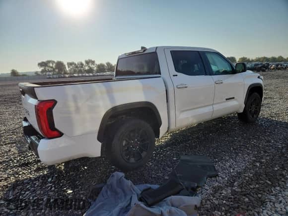 2024 Toyota Tundra SR5 with VIN 5TFLA5DB7RX193822, listed as a Copart auction lot 81251885 with 22,824 mi miles and Salvage title. Bid and sale history available at DreamBid. Image 3.