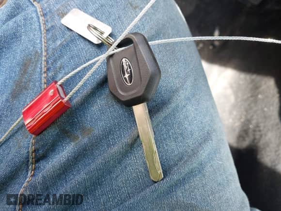 2009 Subaru Forester X с VIN JF2SH63639G741883, выставлен на аукционе IAAI как лот 42230609 с пробегом 145 109 миль миль и . История ставок и продаж доступна на DreamBid. Изображение 11.