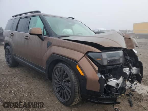 2024 Hyundai Santa Fe Calligraphy с VIN 5NMP5DGLXRH019627, выставлен на аукционе Copart как лот 84737354 с пробегом 3 873 миль миль и Списание • Salvage title. История ставок и продаж доступна на DreamBid. Изображение 4.