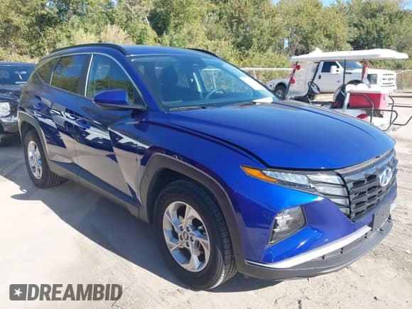 2024 Hyundai Tucson SEL with VIN 5NMJBCDE5RH360156, listed as a IAAI auction lot 43516621 with 52,431 mi miles and . Bid and sale history available at DreamBid. Image 1.