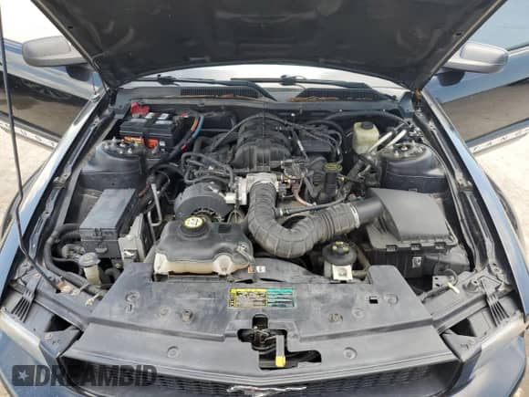 2005 Ford Mustang Deluxe with VIN 1ZVFT80N855107171, listed as a Copart auction lot 64255855 with 251,576 mi miles and Salvage title. Bid and sale history available at DreamBid. Image 11.