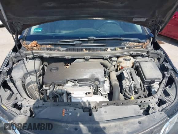2017 Chevrolet Cruze Premier с VIN 1G1BF5SM0H7238706, выставлен на аукционе IAAI как лот 43428089 с пробегом 116 310 миль миль и . История ставок и продаж доступна на DreamBid. Изображение 10.