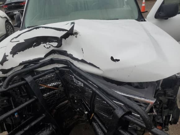 2005 Chevrolet Silverado 3500 SRW Wrk Trk с VIN 1GCHK34U05E308260, выставлен на аукционе Copart как лот 58187445 с пробегом Не указан миль и Списание • Salvage title. История ставок и продаж доступна на DreamBid. Изображение 11.