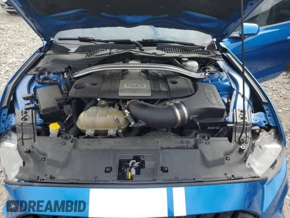 2019 Ford Mustang GT with VIN 1FA6P8CF9K5166596, listed as a Copart auction lot 83820485 with 66,503 mi miles and Clean title. Bid and sale history available at DreamBid. Image 11.