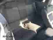 2006 Ford Mustang Standard with VIN 1ZVFT84N465102562, listed as a IAAI auction lot 42453410 with 142,098 mi miles and . Bid and sale history available at DreamBid. Image 8.