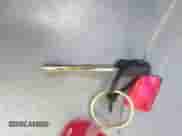 2000 Chevrolet Silverado 1500 LS с VIN 2GCEC19T1Y1279622, выставлен на аукционе IAAI как лот 43366617 с пробегом 559 755 миль миль и . История ставок и продаж доступна на DreamBid. Изображение 11.