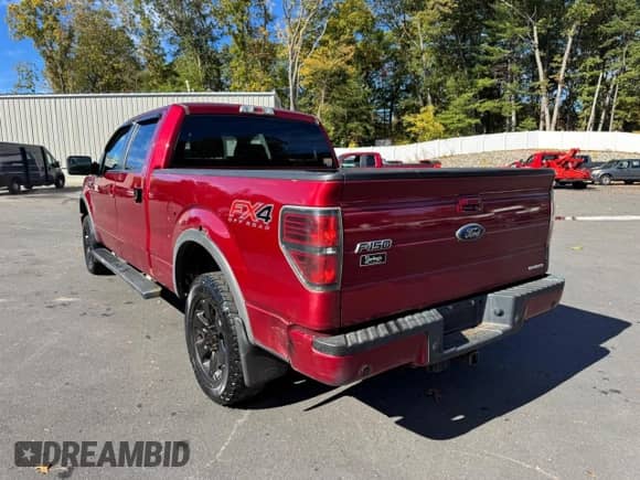 2013 Ford F-150 XL with VIN 1FTFW1EF2DFD12173, listed as a Copart auction lot 87421525 with 218,117 mi miles and Clean title. Bid and sale history available at DreamBid. Image 2.