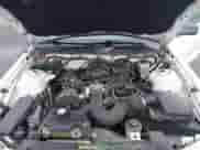 2005 Ford Mustang Deluxe with VIN 1ZVFT80N355148498, listed as a IAAI auction lot 43543649 with 191,853 mi miles and . Bid and sale history available at DreamBid. Image 10.