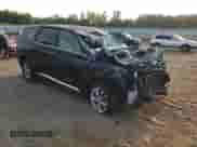 2020 Hyundai Palisade SE с VIN KM8R1DHE4LU052624, выставлен на аукционе Copart как лот 55254005 с пробегом 119 424 миль миль и Списание • Salvage title. История ставок и продаж доступна на DreamBid. Изображение 14.