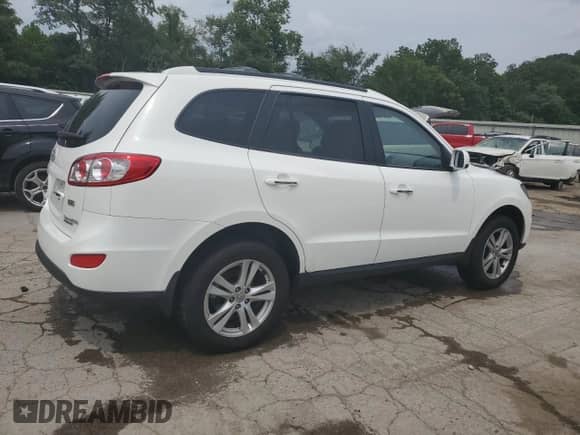 2010 Hyundai Santa Fe Limited с VIN 5NMSKDAG4AH386025, выставлен на аукционе Copart как лот 65951204 с пробегом 36 211 миль миль и Списание • Salvage title. История ставок и продаж доступна на DreamBid. Изображение 3.