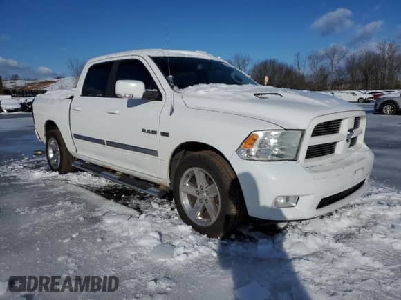 2010 Dodge 1500 Sport с VIN 1D7RV1CT8AS183115, выставлен на аукционе Copart как лот 44805135 с пробегом 131 283 миль миль и Списание • Salvage title. История ставок и продаж доступна на DreamBid. Изображение 4.