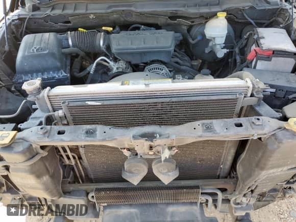 2010 Dodge 1500 SLT with VIN 1D7RB1GPXAS205928, listed as a Copart auction lot 81454265 with 183,116 mi miles and Salvage title. Bid and sale history available at DreamBid. Image 11.
