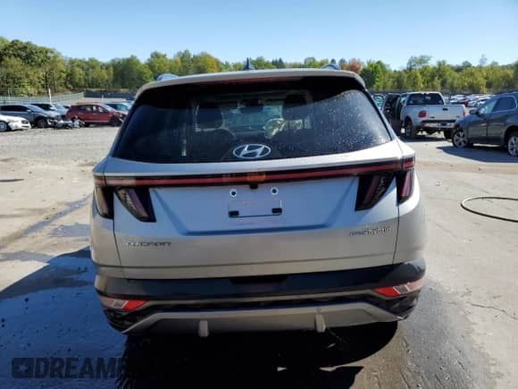 2023 Hyundai Tucson Limited с VIN KM8JECA18PU086607, выставлен на аукционе Copart как лот 84466695 с пробегом 23 122 миль миль и Списание • Salvage title. История ставок и продаж доступна на DreamBid. Изображение 6.